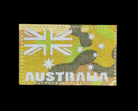 ANF IR Patch image 1